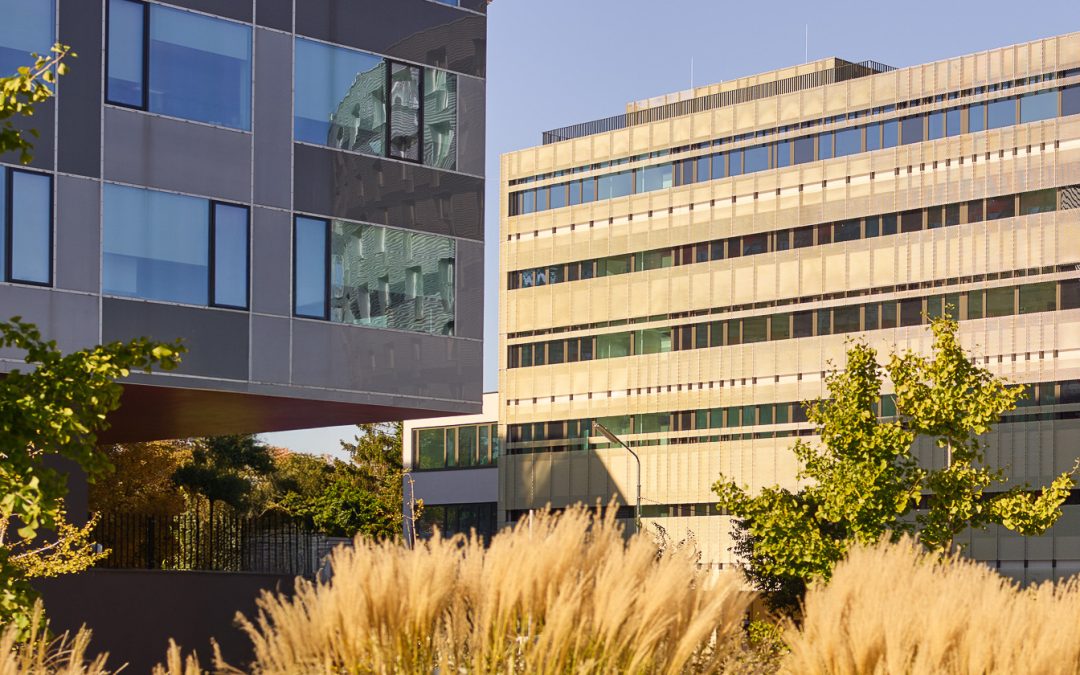 WBA | Fachtagung ADHS bei Kindern, Jugendlichen & Erwachsenen